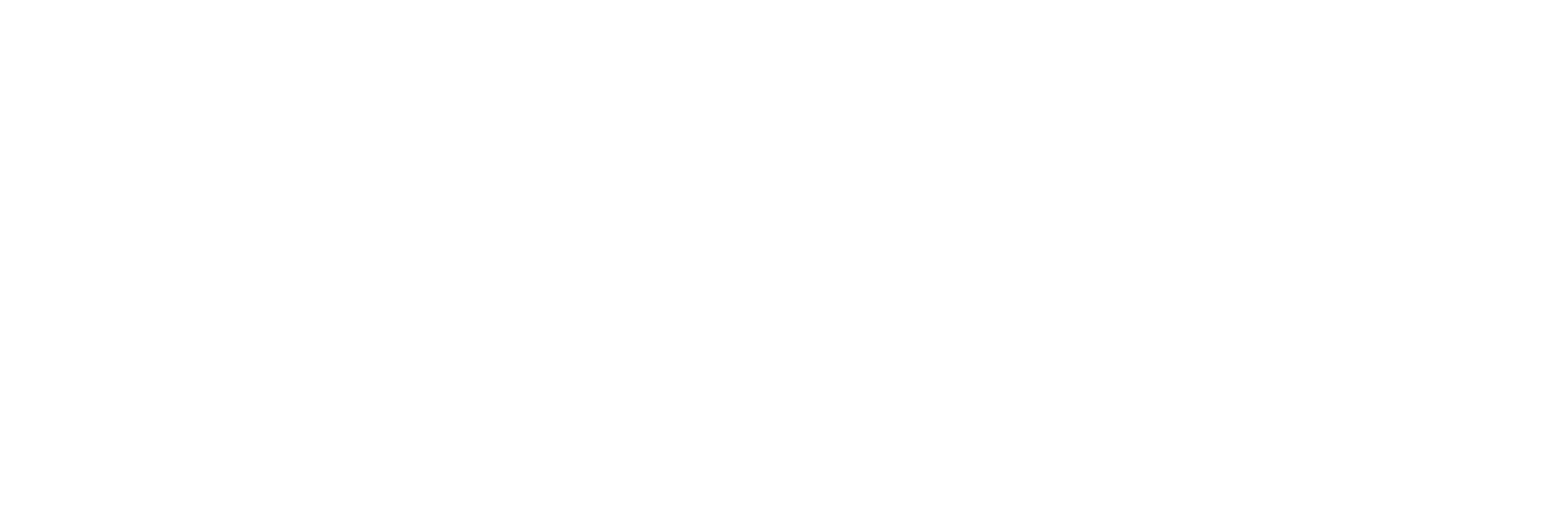 Synscenter Refsnæs logo