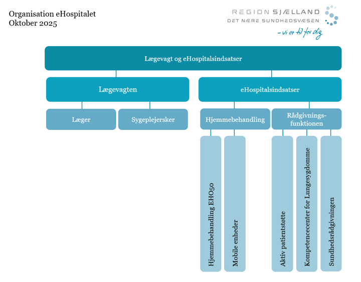 Organisationsdiagram eHospitalet