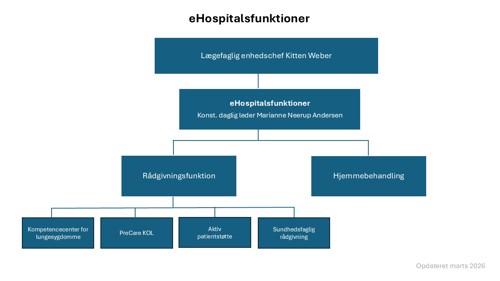 eHospitalsfunktioner marts 2026
