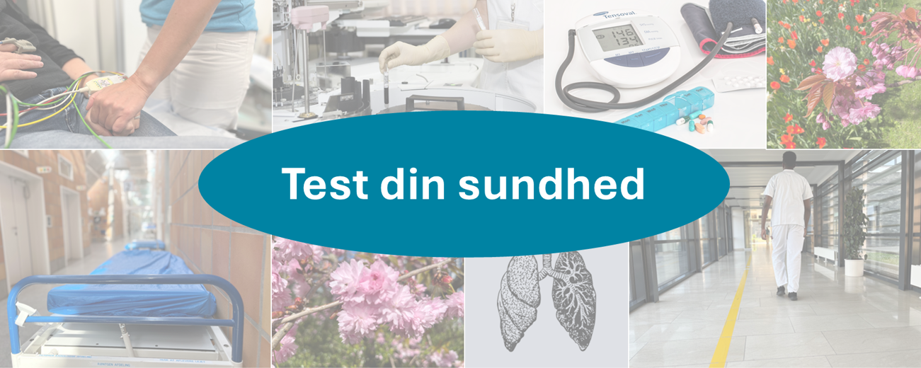 Test din sundhed