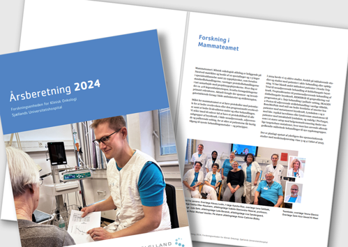 Forside fra årsberetning 2024 fra Forskningsenheden