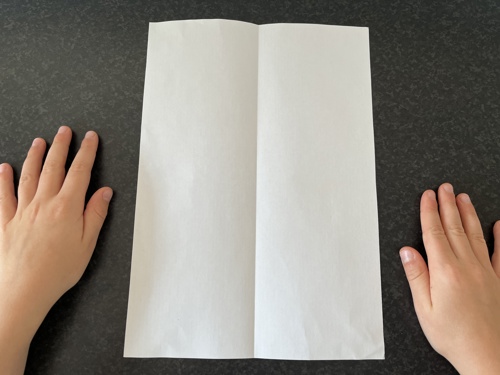 Billede, som viser hvordan man rullingetrolde og troldefoldebøger, trin3