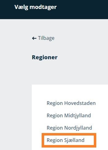 Billede af markering af "Region Sjælland" som valgmulighed