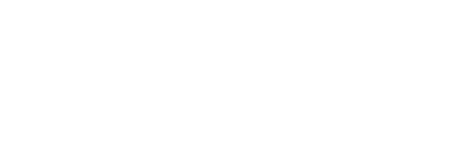 Region Zealand logo