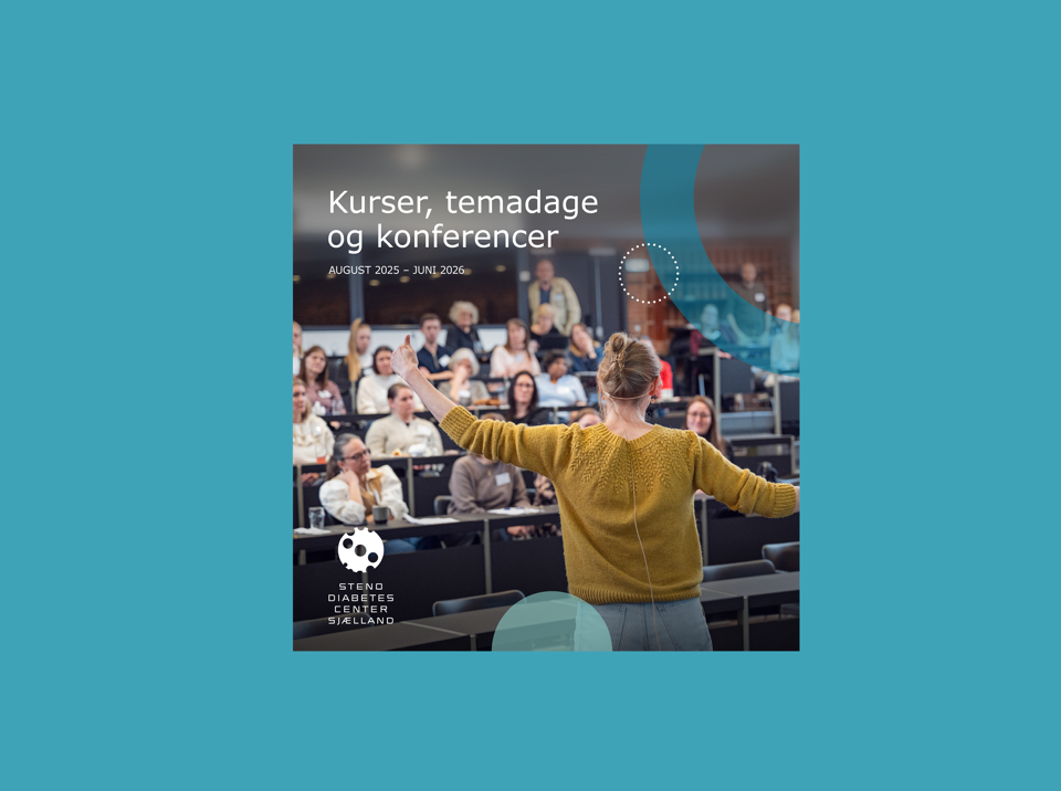 Illustration af forsiden af Steno Sjællands kursuskatalog for 2025-2026