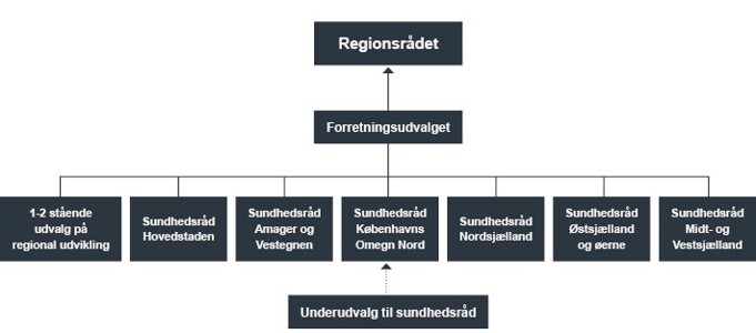 De nye politiske fora