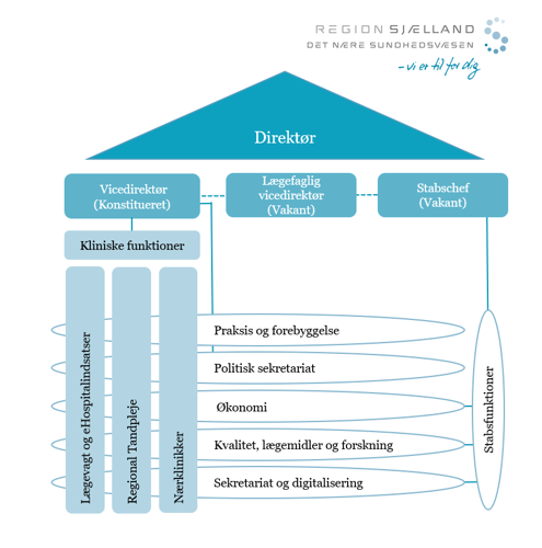 Organisationsdiagram DNS december 2024